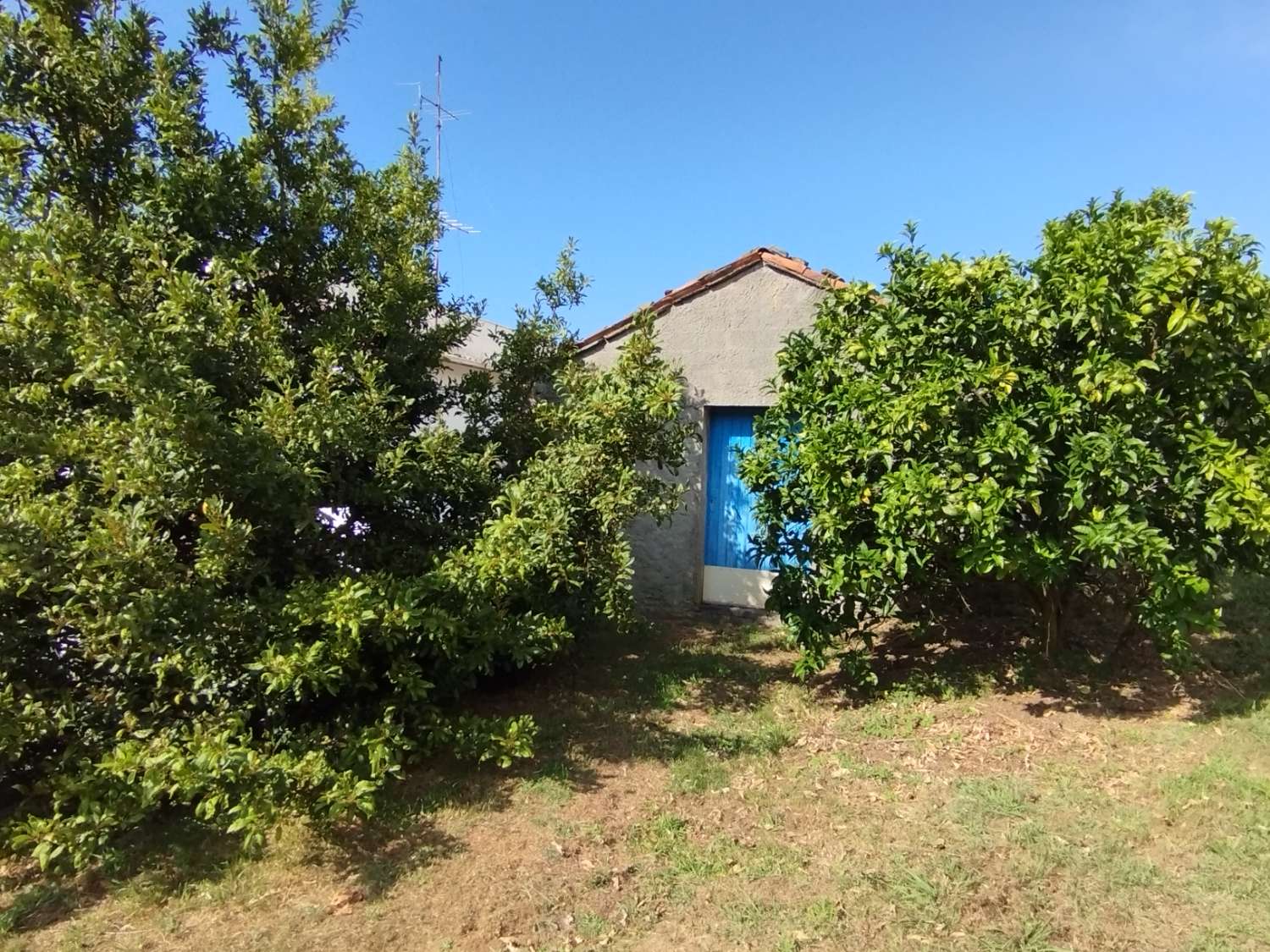 House for sale in Valdoviño