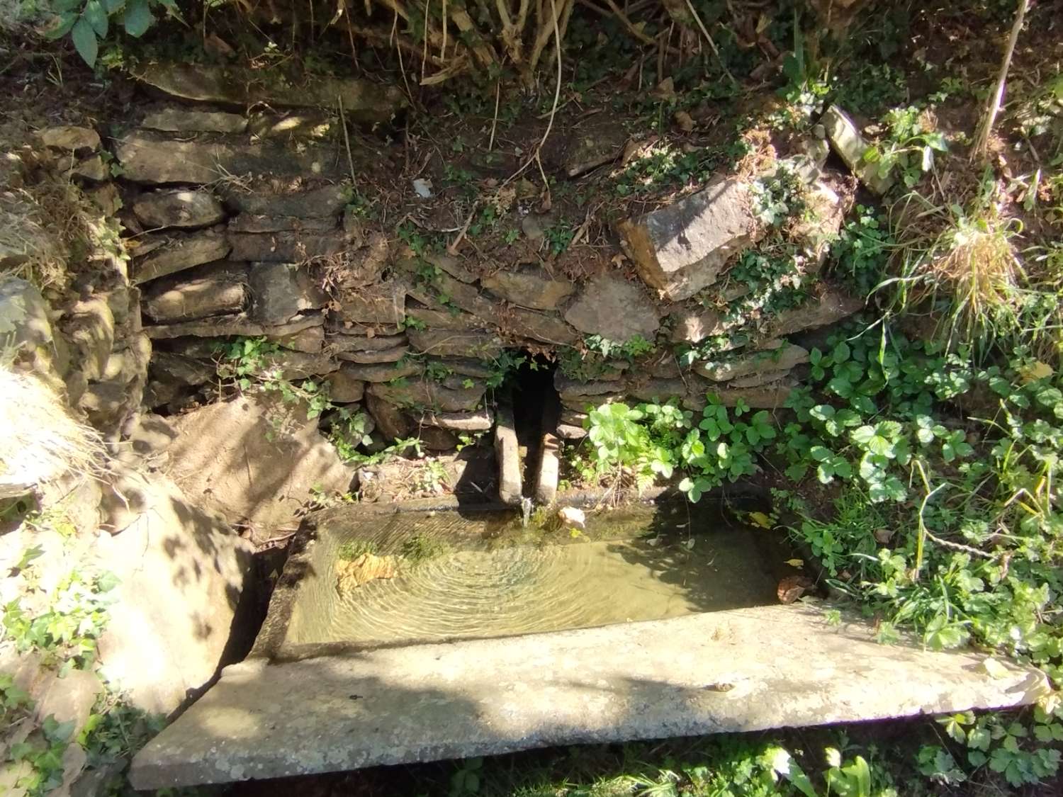 House for sale in Valdoviño