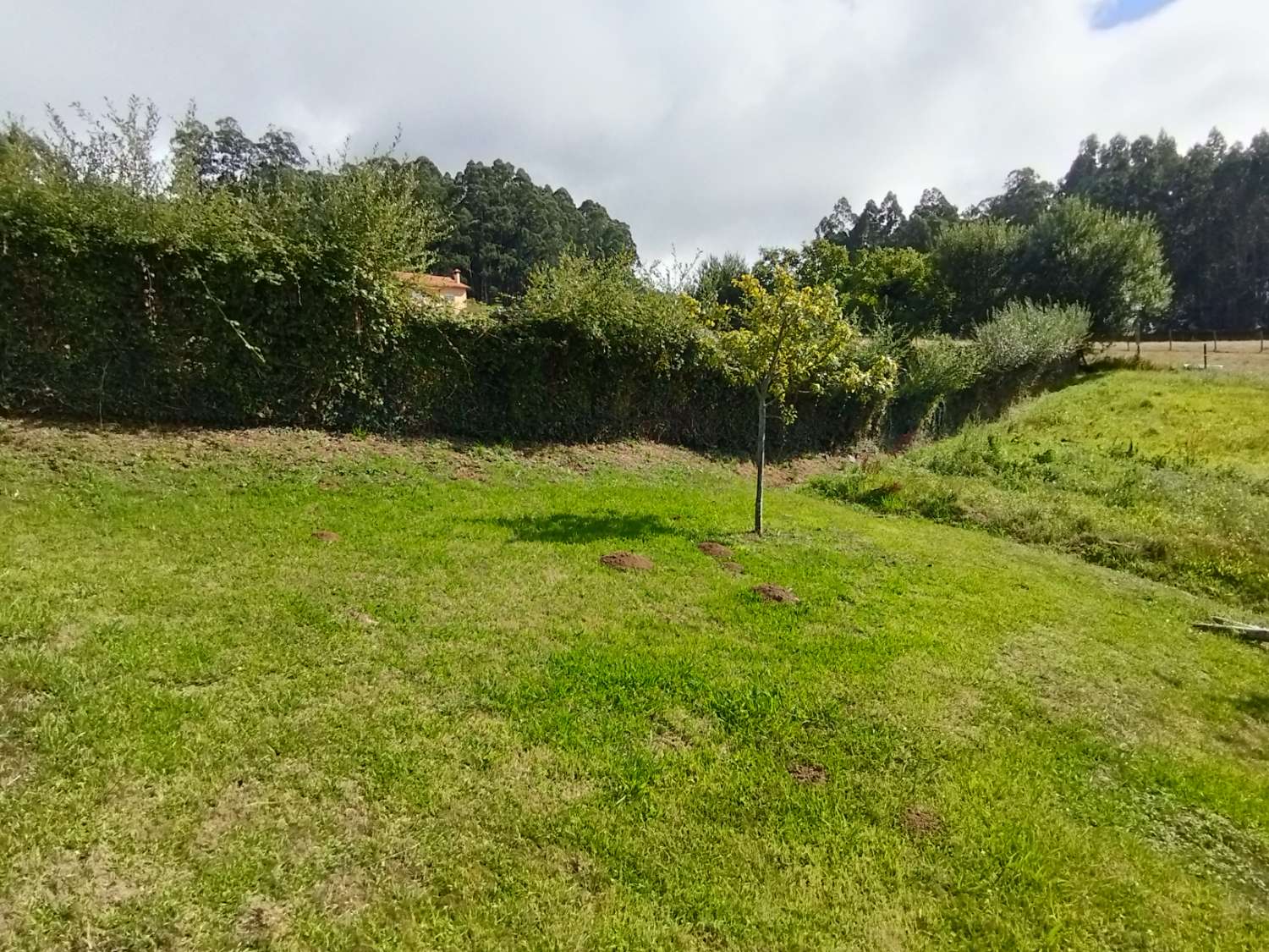 House for sale in Valdoviño