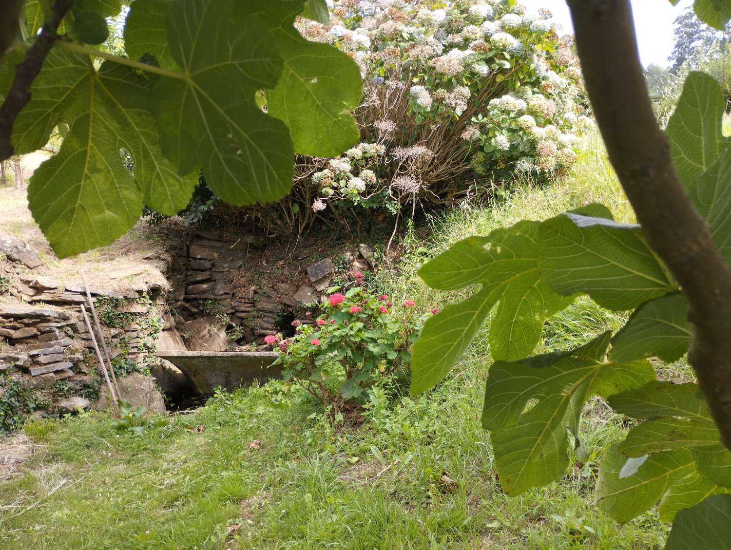 House for sale in Valdoviño