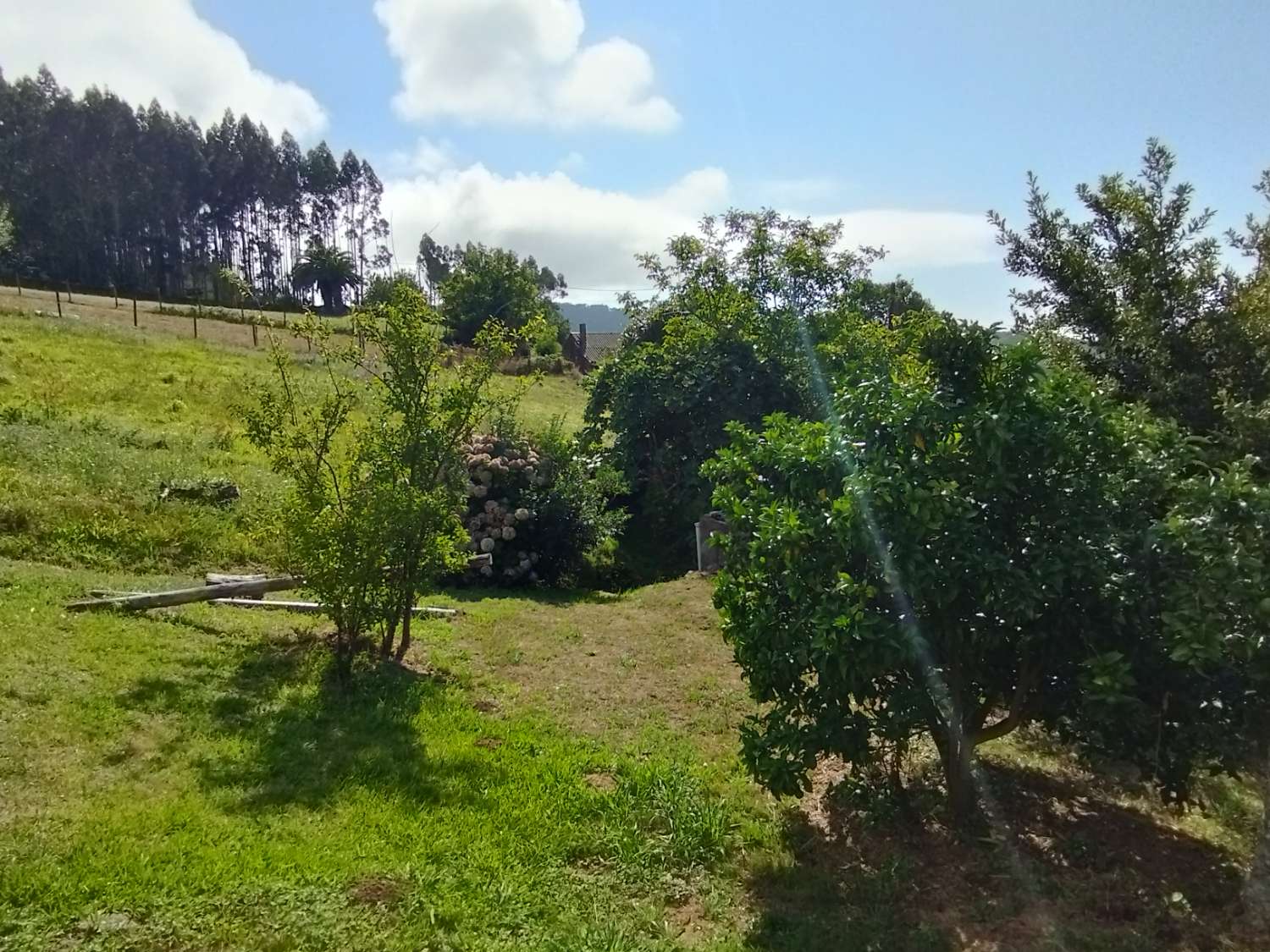 House for sale in Valdoviño