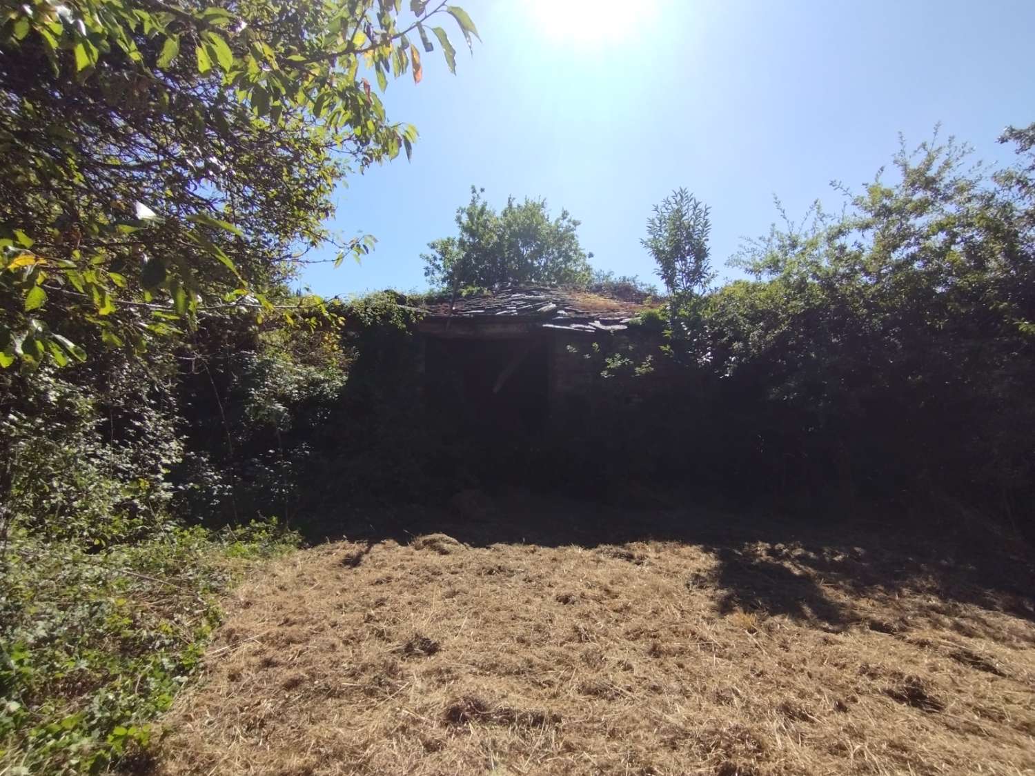 House for sale in Begonte