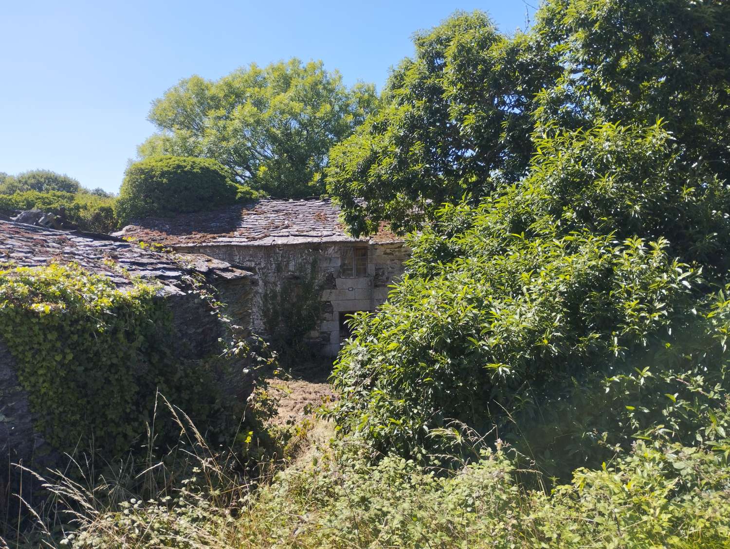 House for sale in Begonte