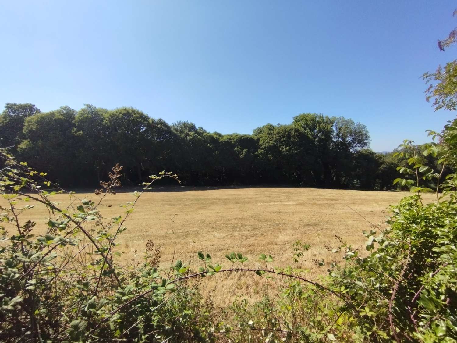 House for sale in Begonte