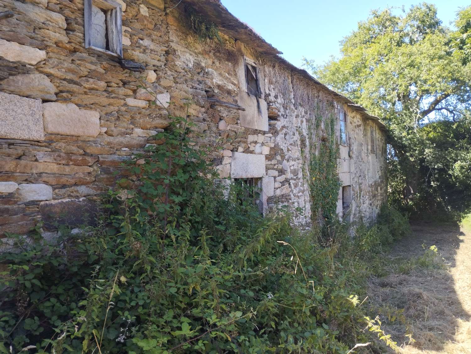 House for sale in Begonte