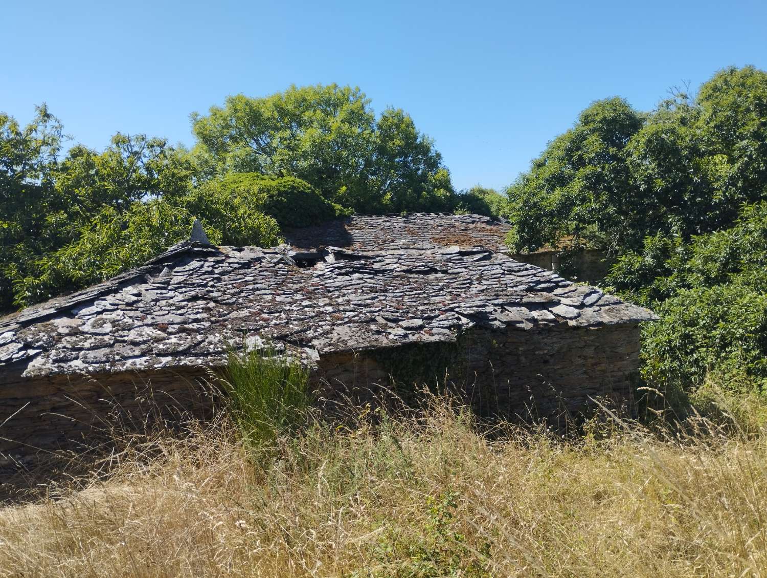 House for sale in Begonte