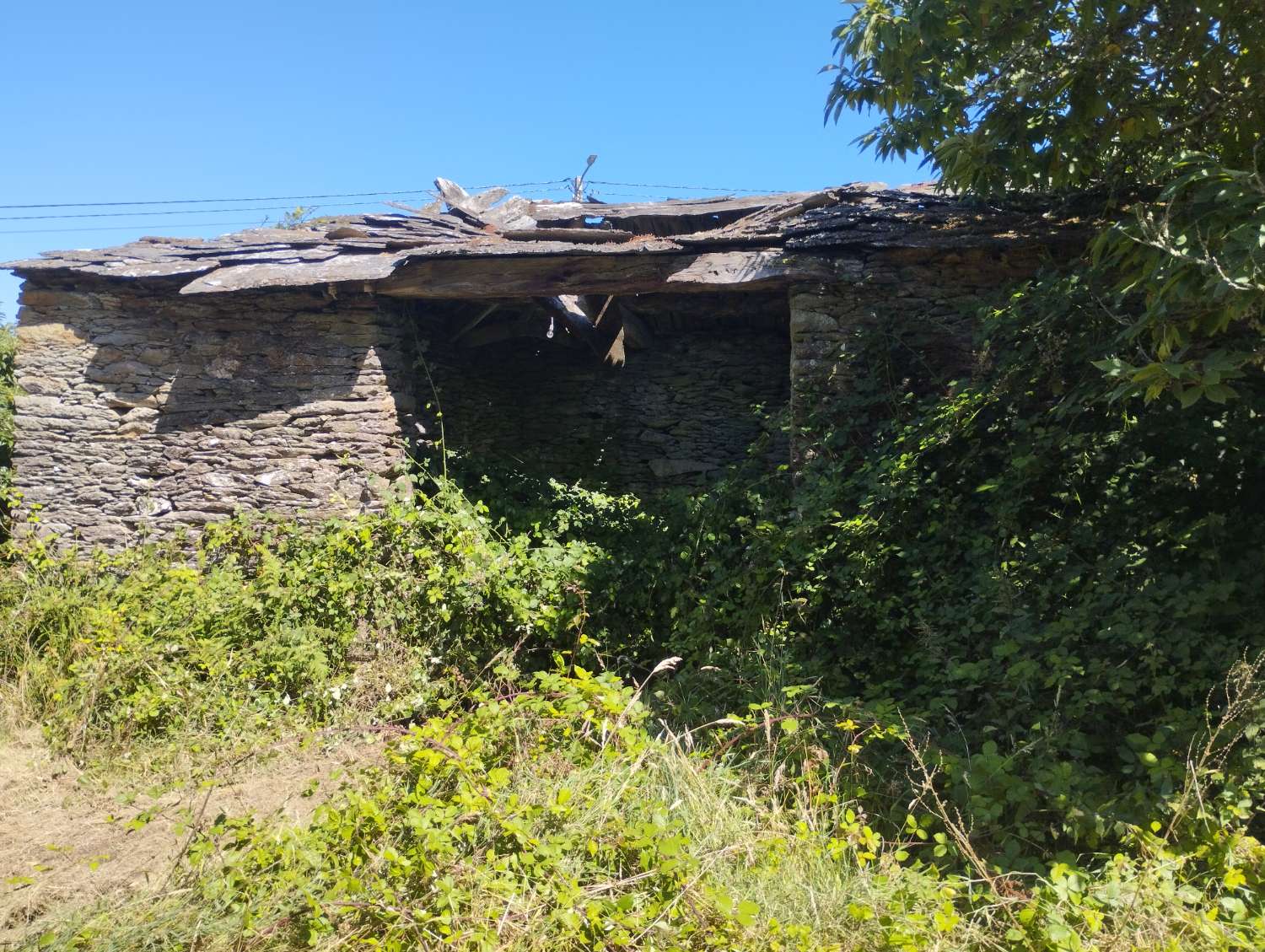 House for sale in Begonte