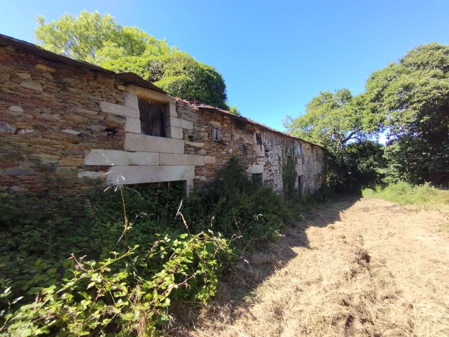 House for sale in Begonte