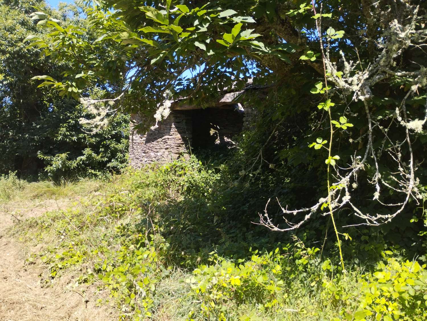 House for sale in Begonte
