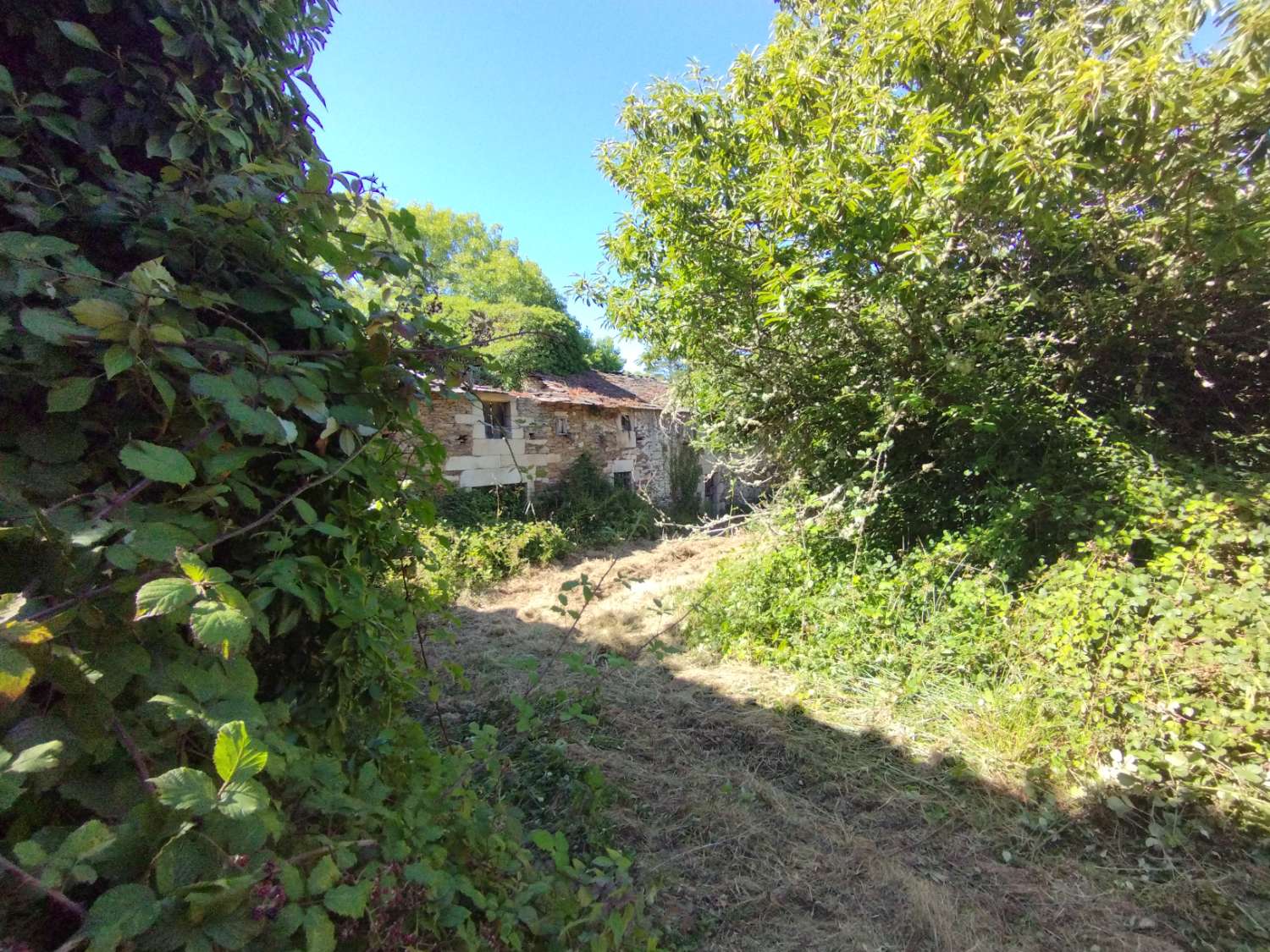 House for sale in Begonte