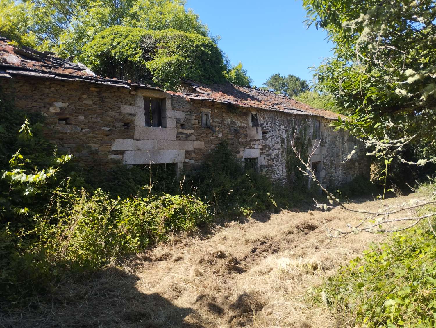 House for sale in Begonte