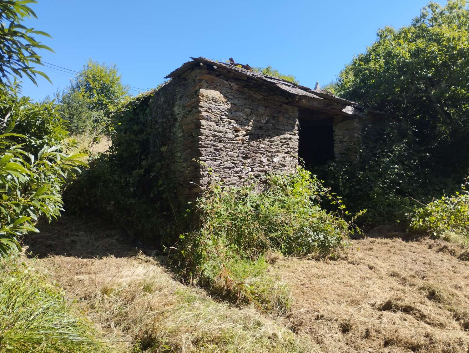 House for sale in Begonte