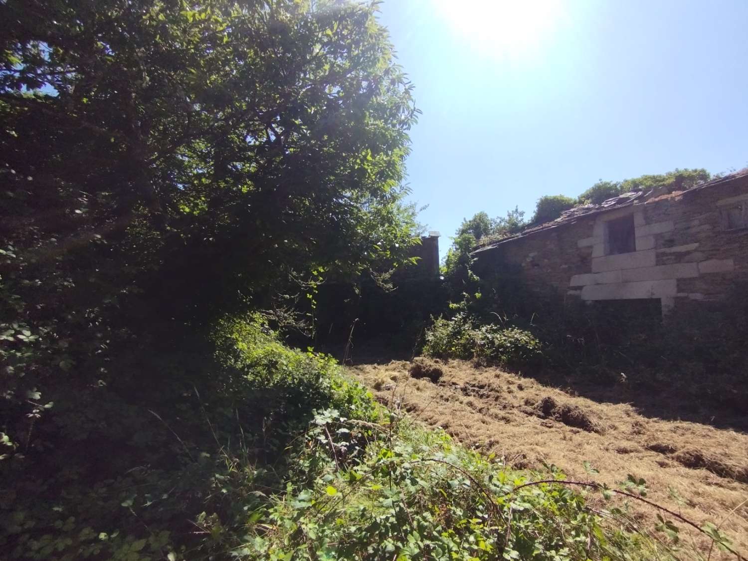 House for sale in Begonte