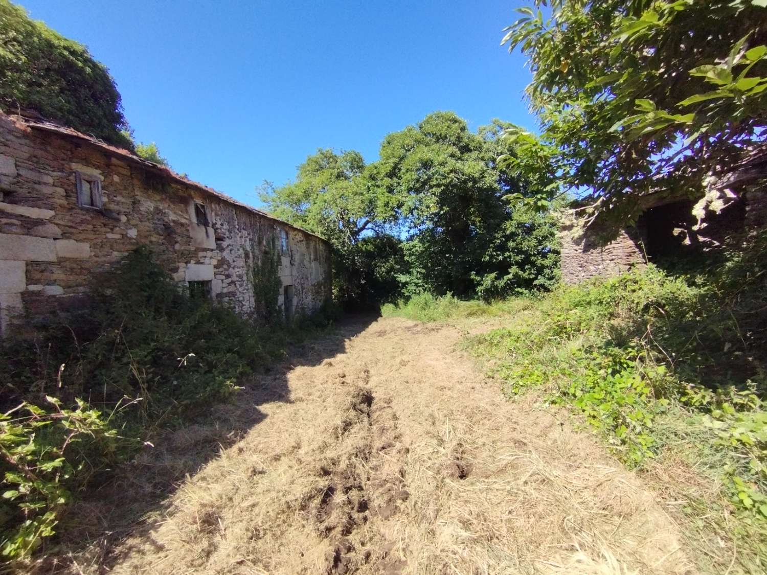 House for sale in Begonte
