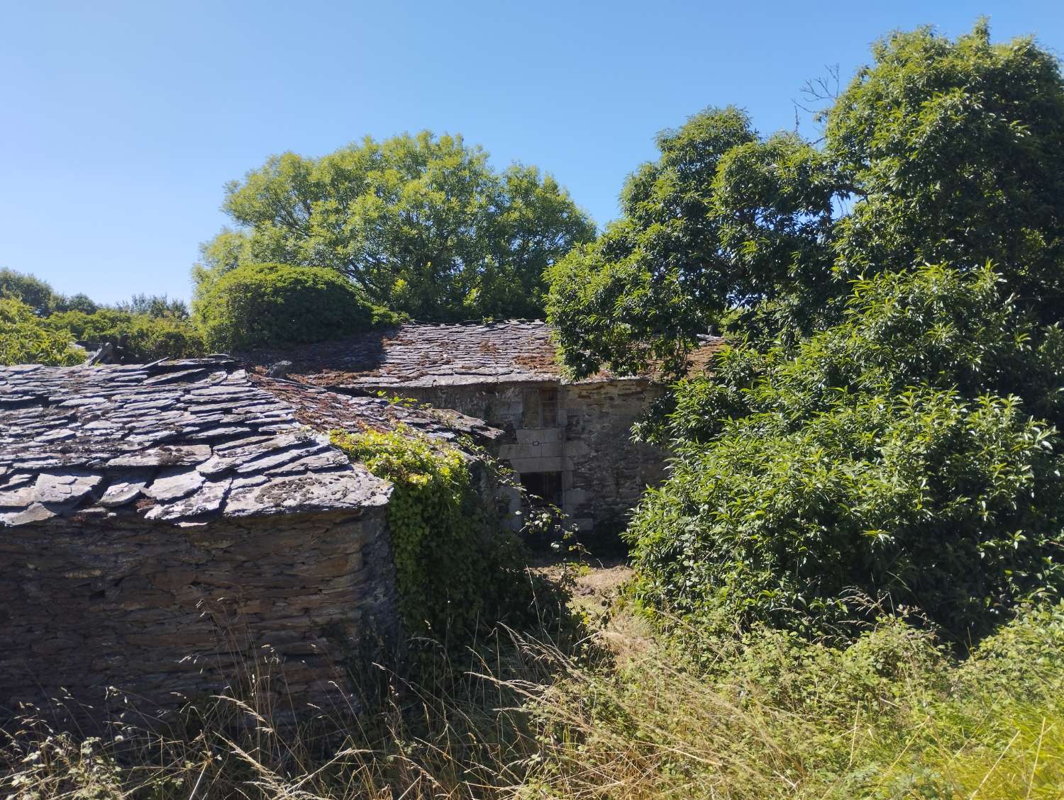 House for sale in Begonte