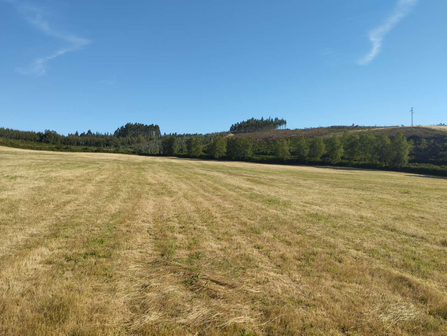 Plot for sale in Begonte