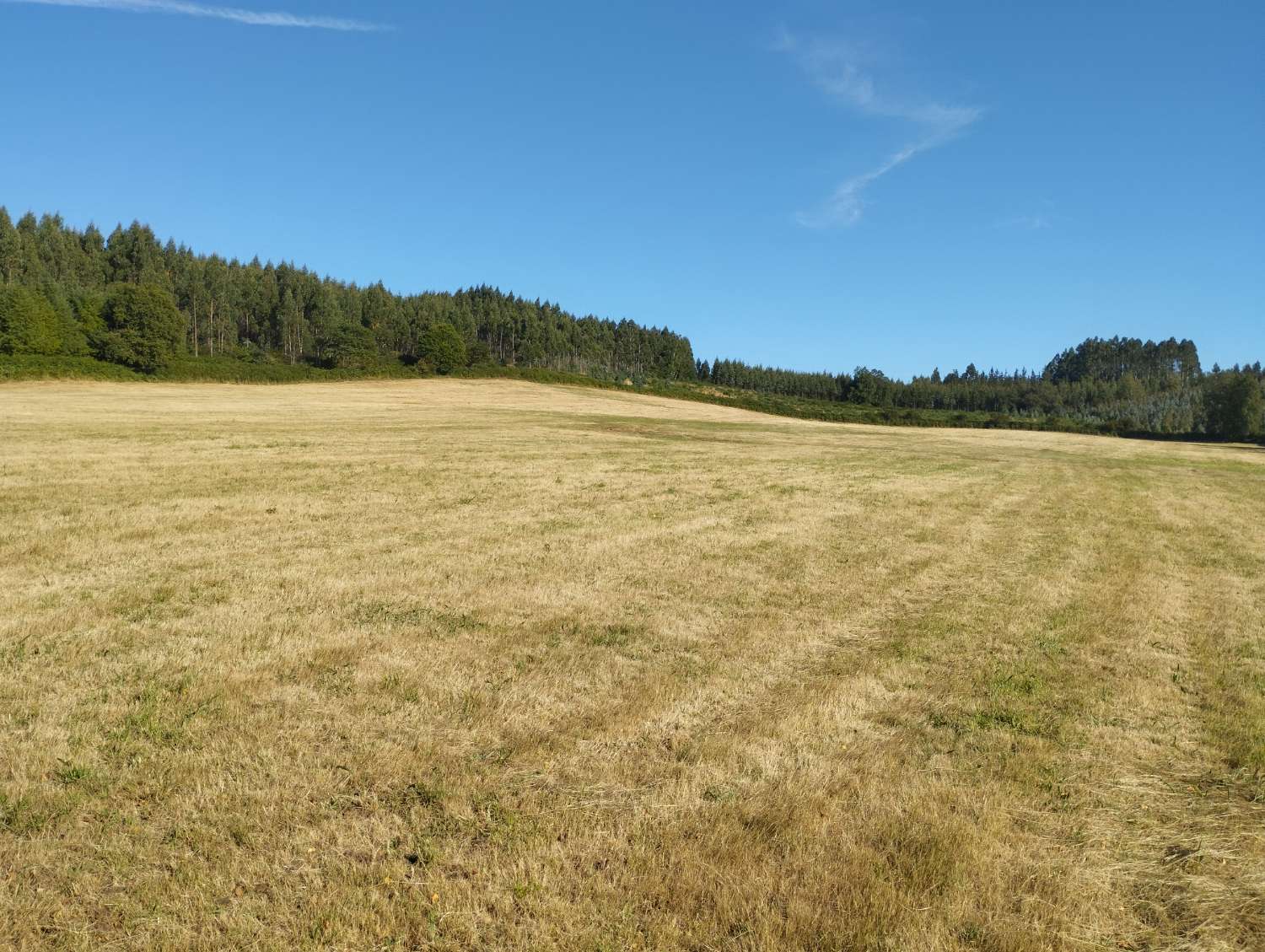 Plot for sale in Begonte