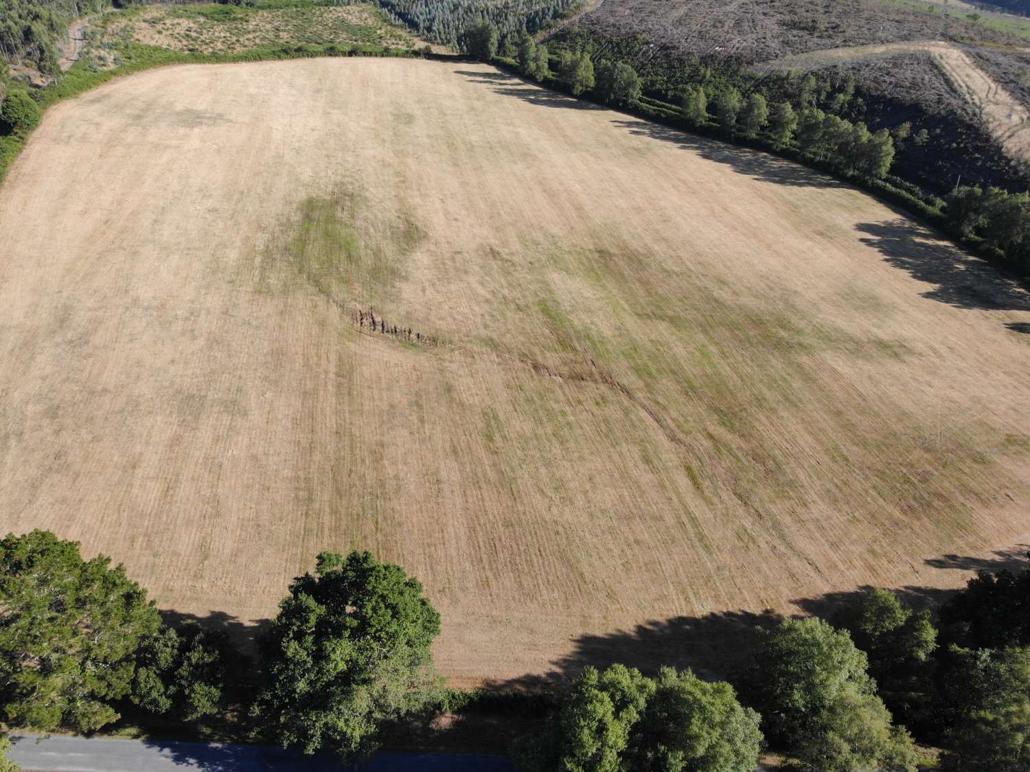 Plot for sale in Begonte