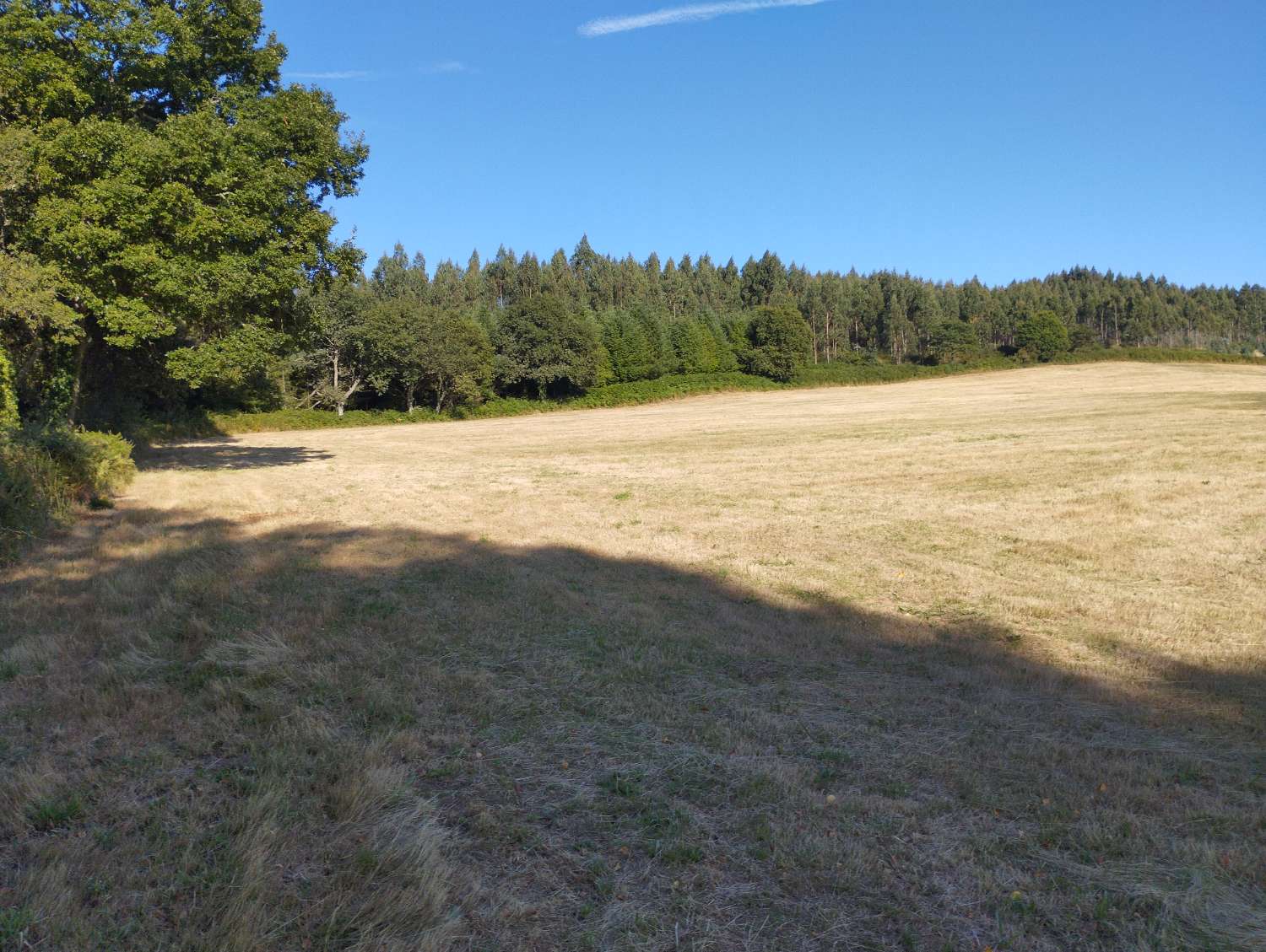Plot for sale in Begonte