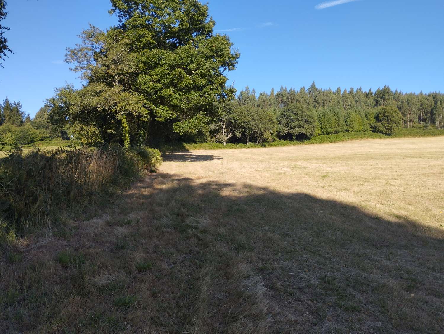 Plot for sale in Begonte