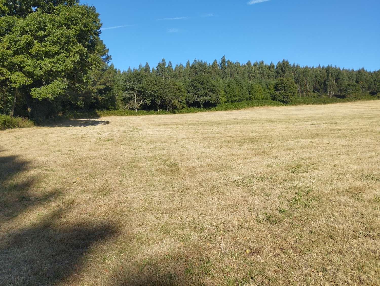 Plot for sale in Begonte