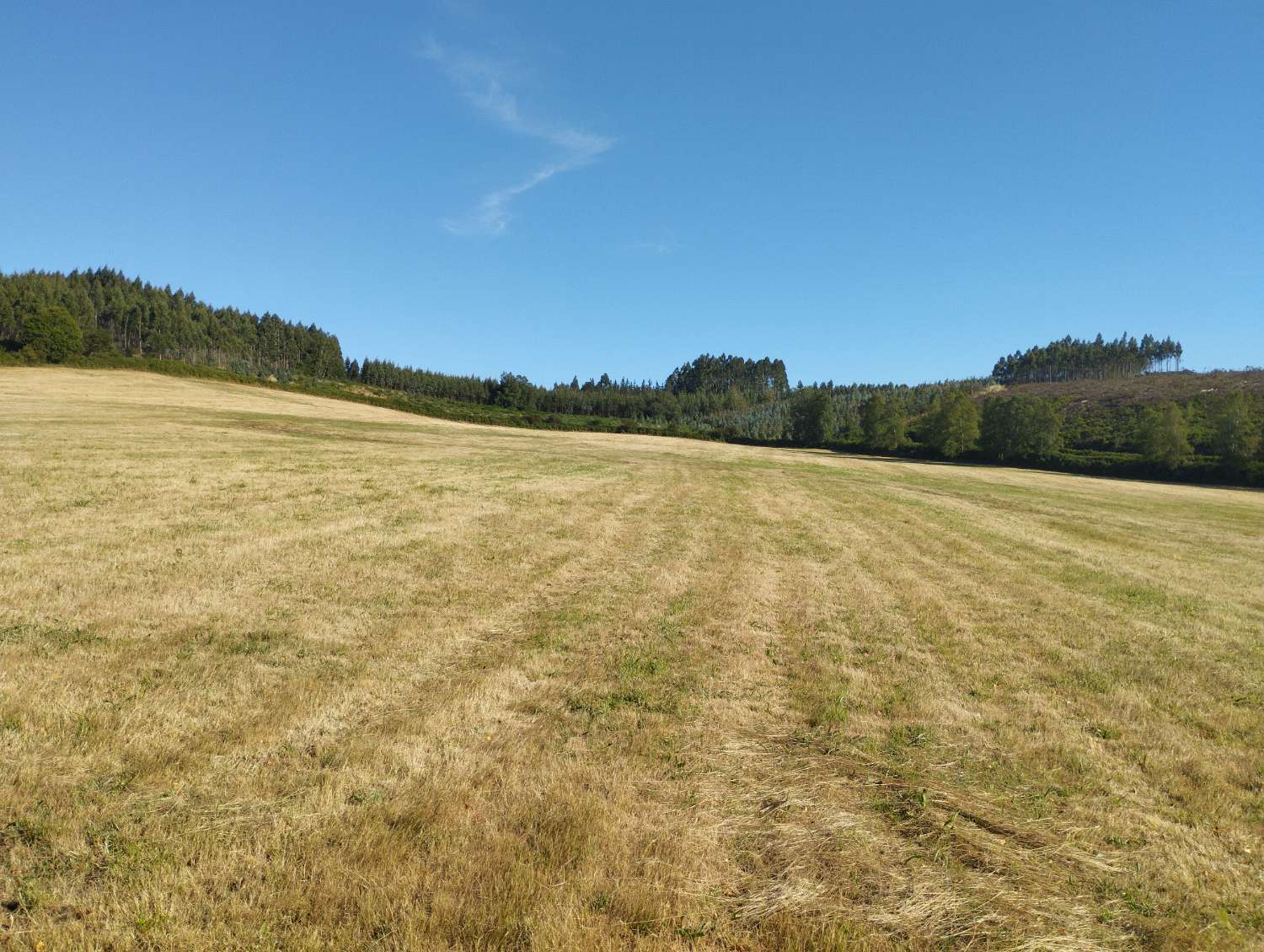 Plot for sale in Begonte