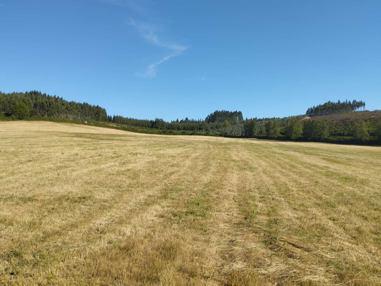 Plot for sale in Begonte