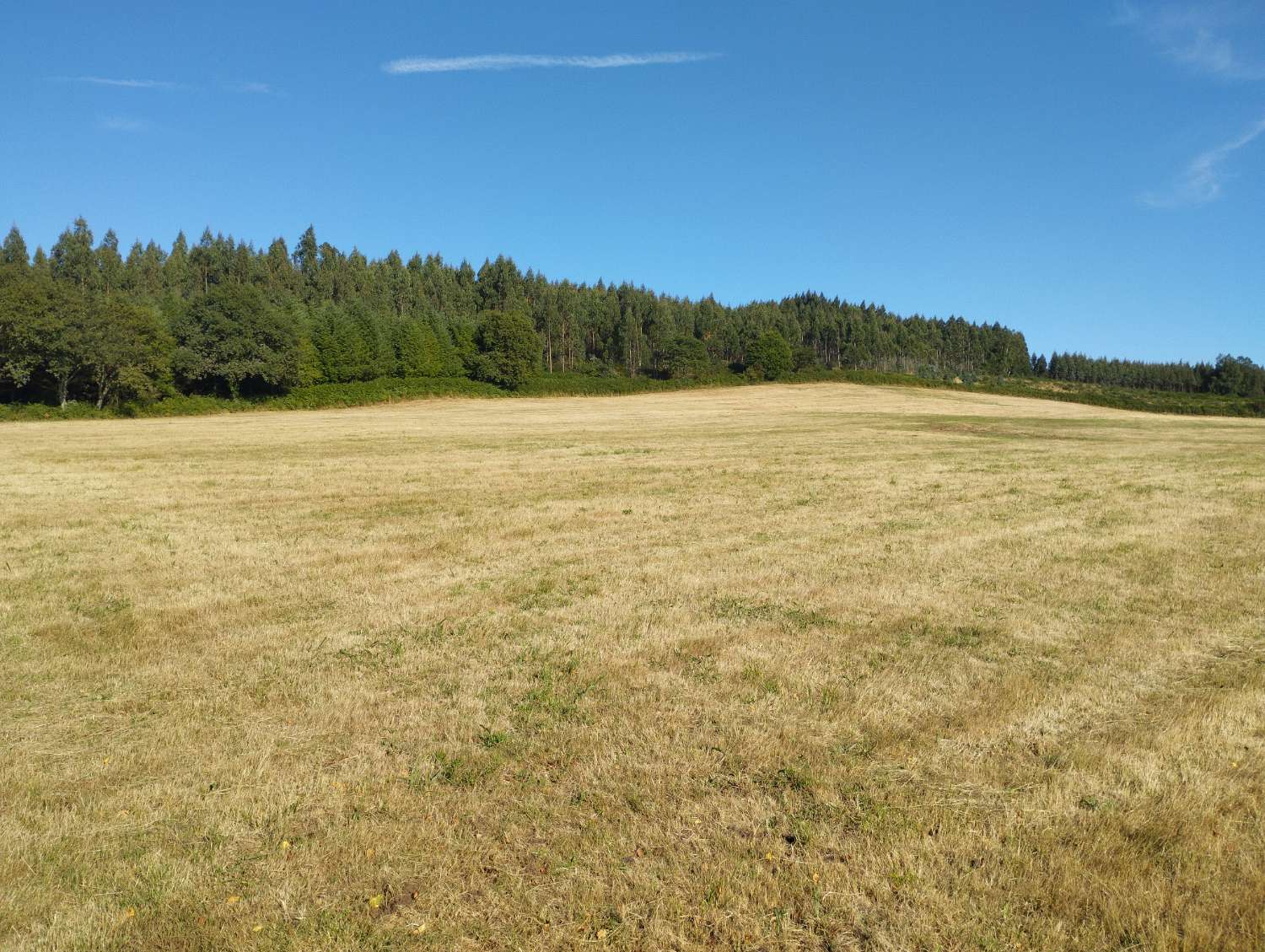 Plot for sale in Begonte
