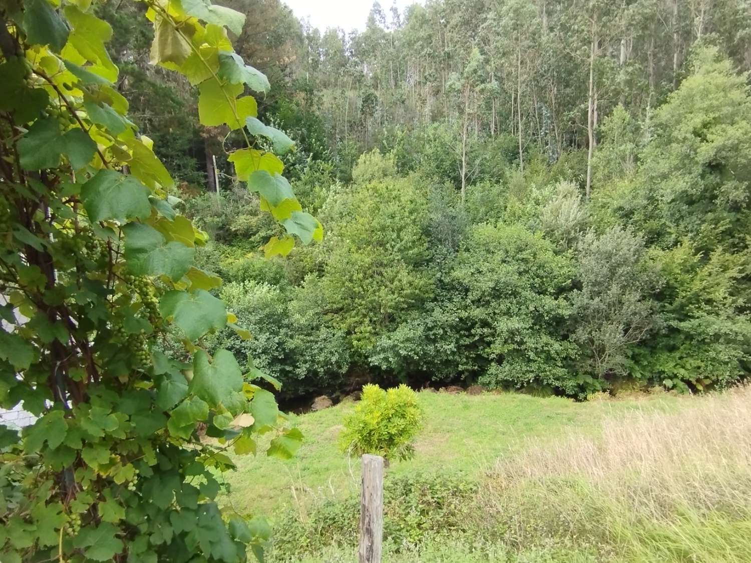 House for sale in Cerdido
