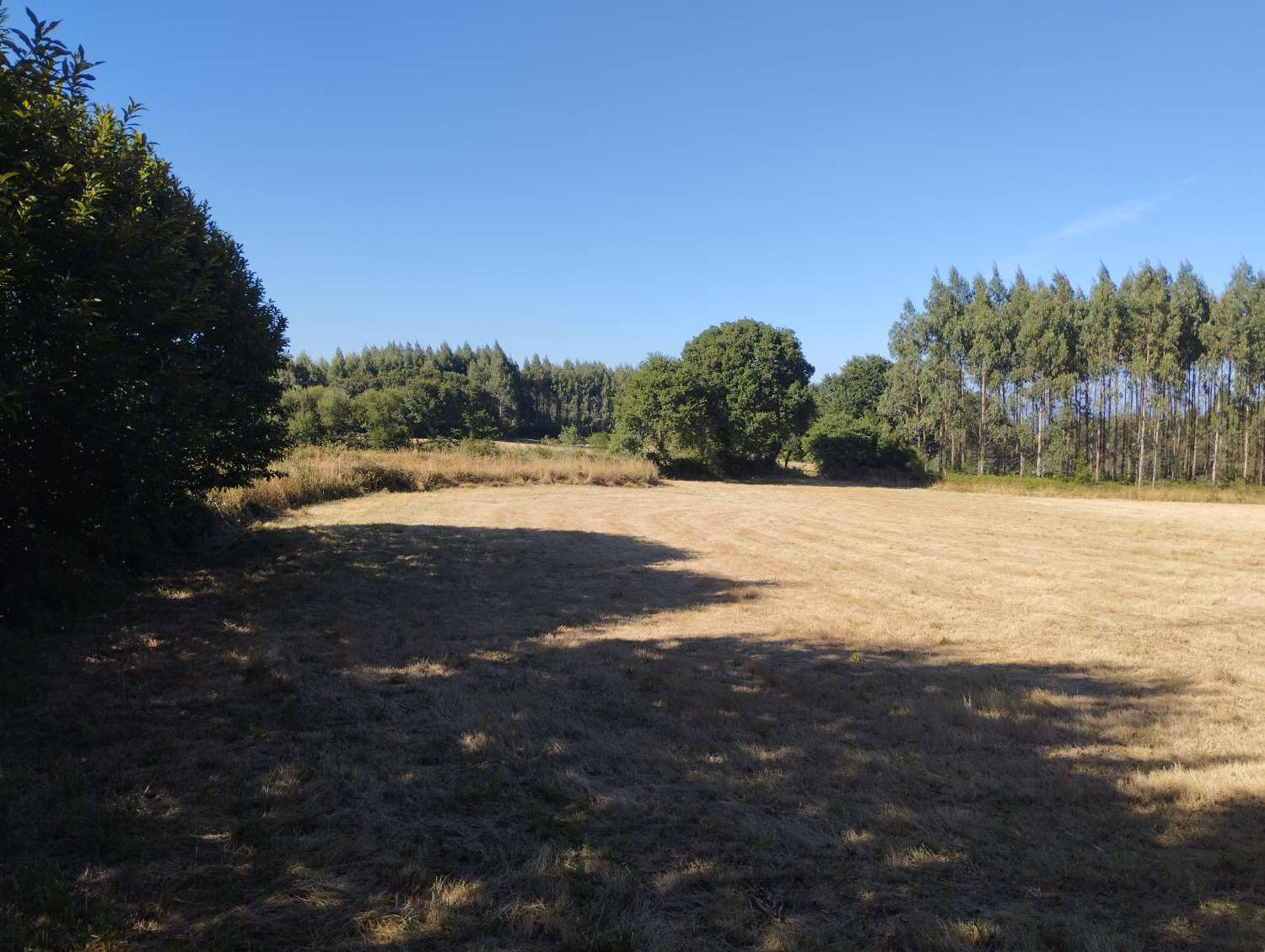 Finca rústica en venta en Sabugueiro, Begonte, Lugo.