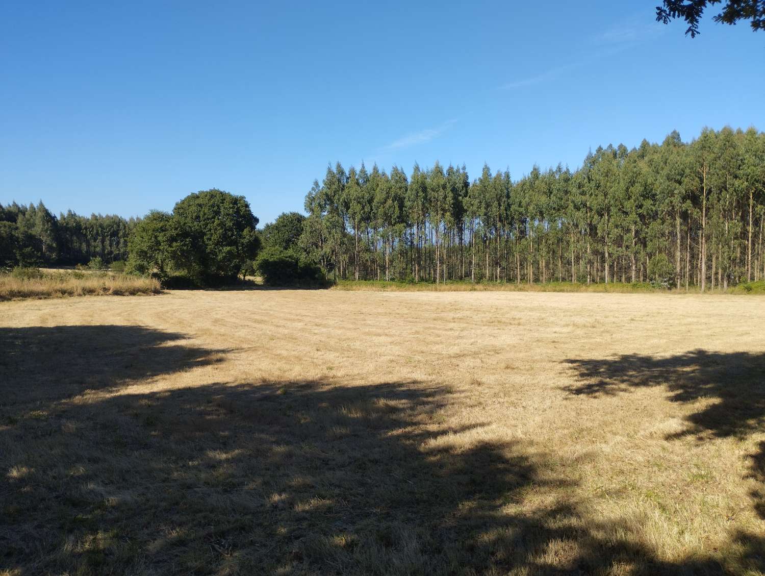 Finca rústica en venta en Sabugueiro, Begonte, Lugo.