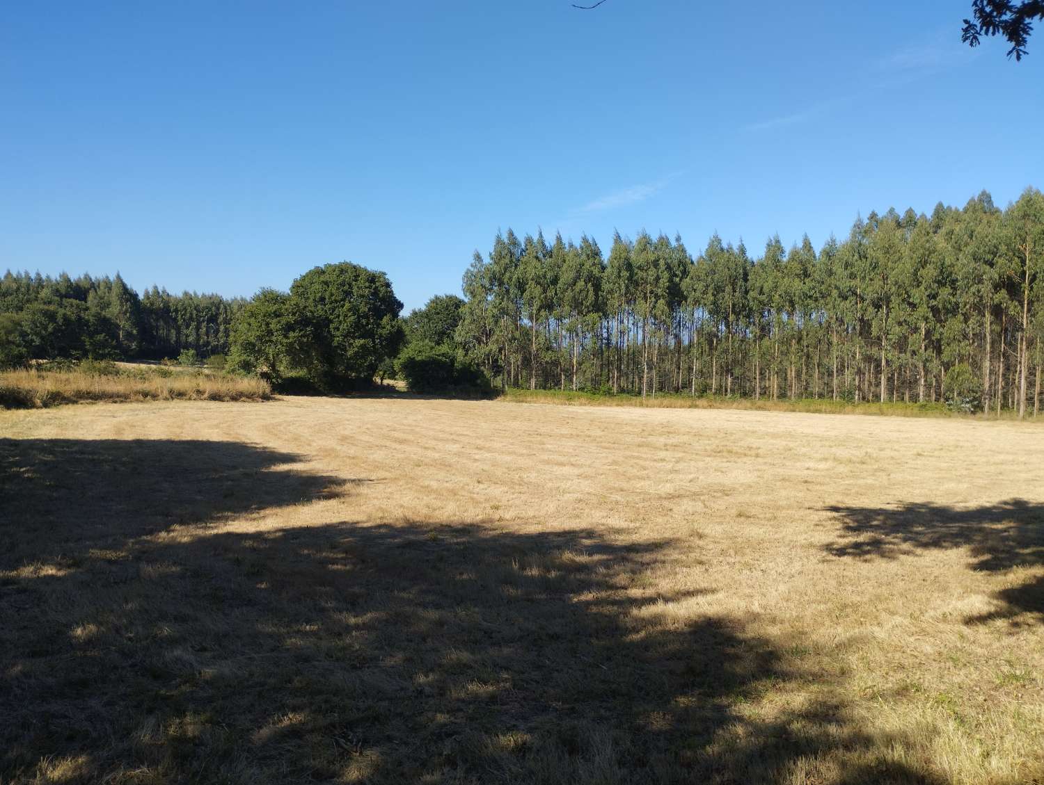 Finca rústica en venta en Sabugueiro, Begonte, Lugo.