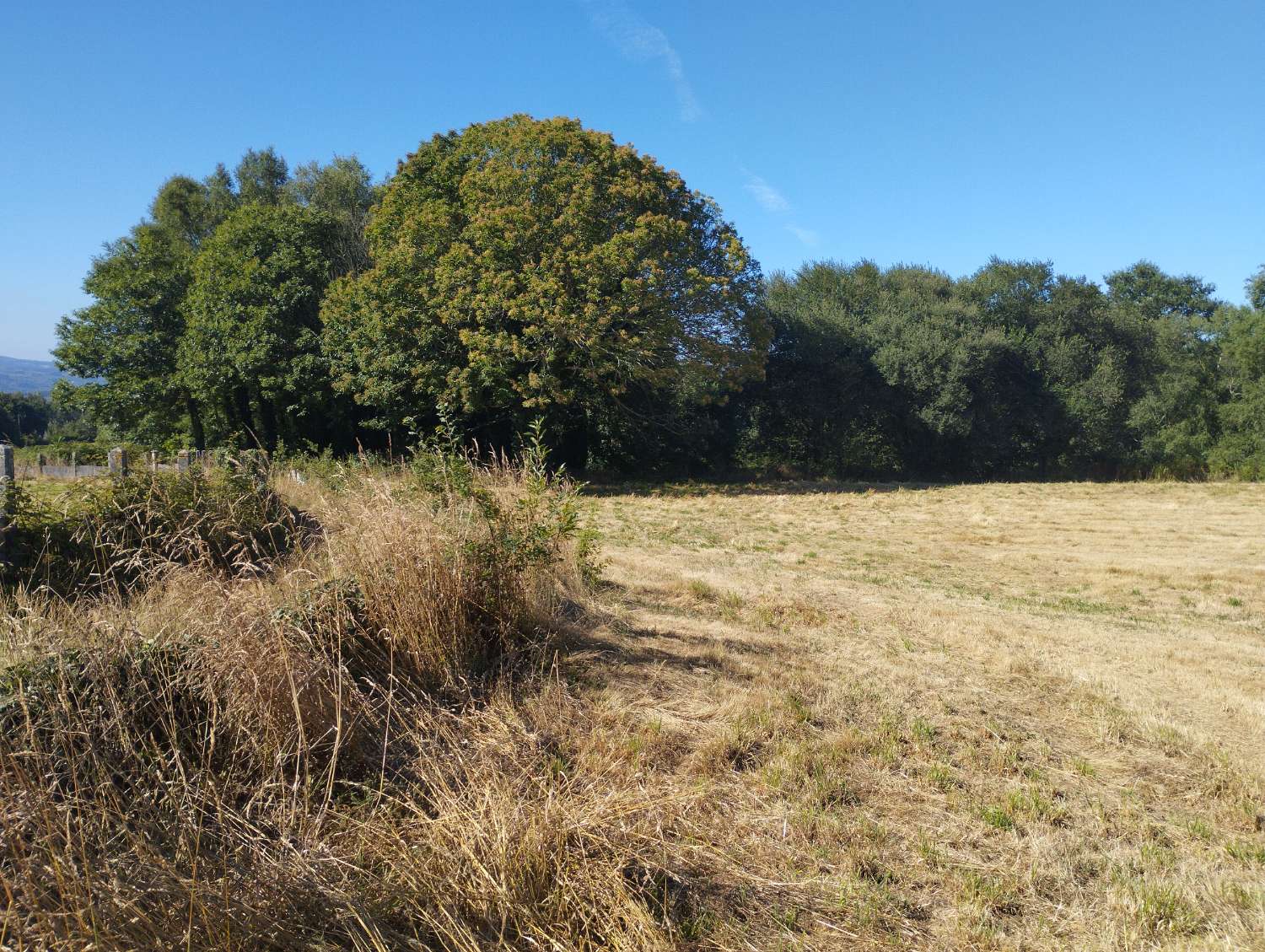 En venta finca rústica en Tarreo de Arriba, Begonte (Lugo)