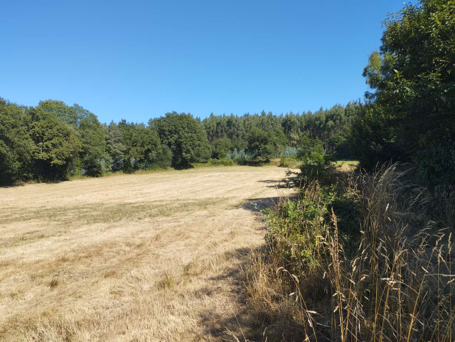En venta finca rústica en Tarreo de Arriba, Begonte (Lugo)