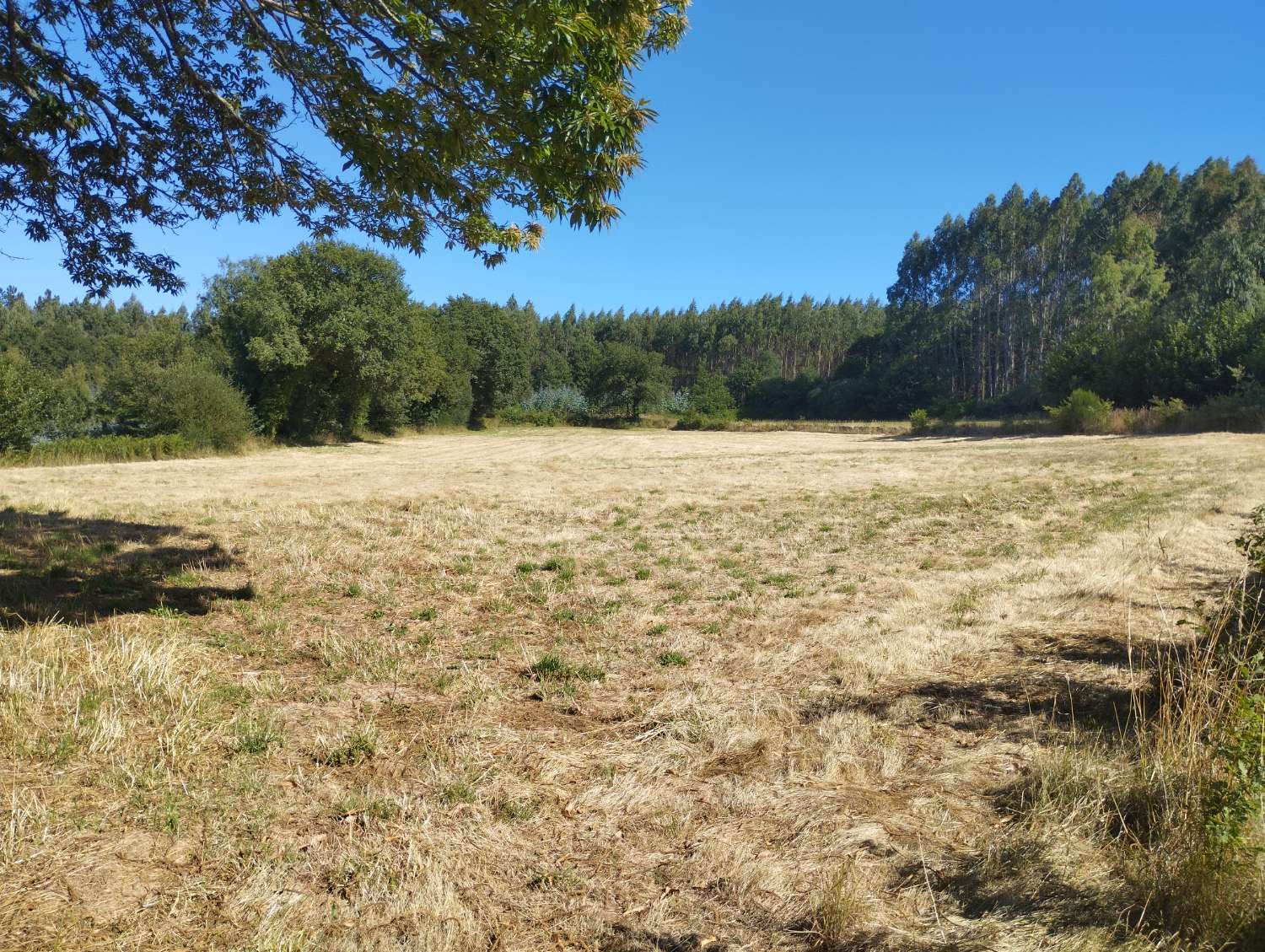 En venta finca rústica en Tarreo de Arriba, Begonte (Lugo)