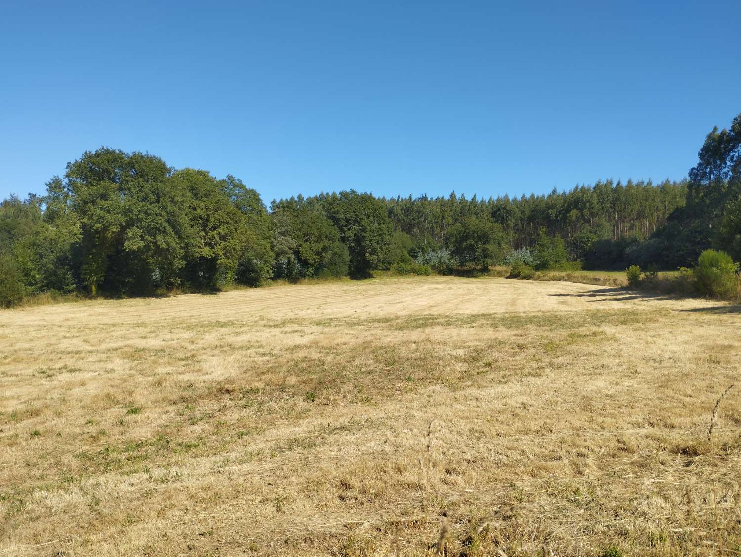 En venta finca rústica en Tarreo de Arriba, Begonte (Lugo)
