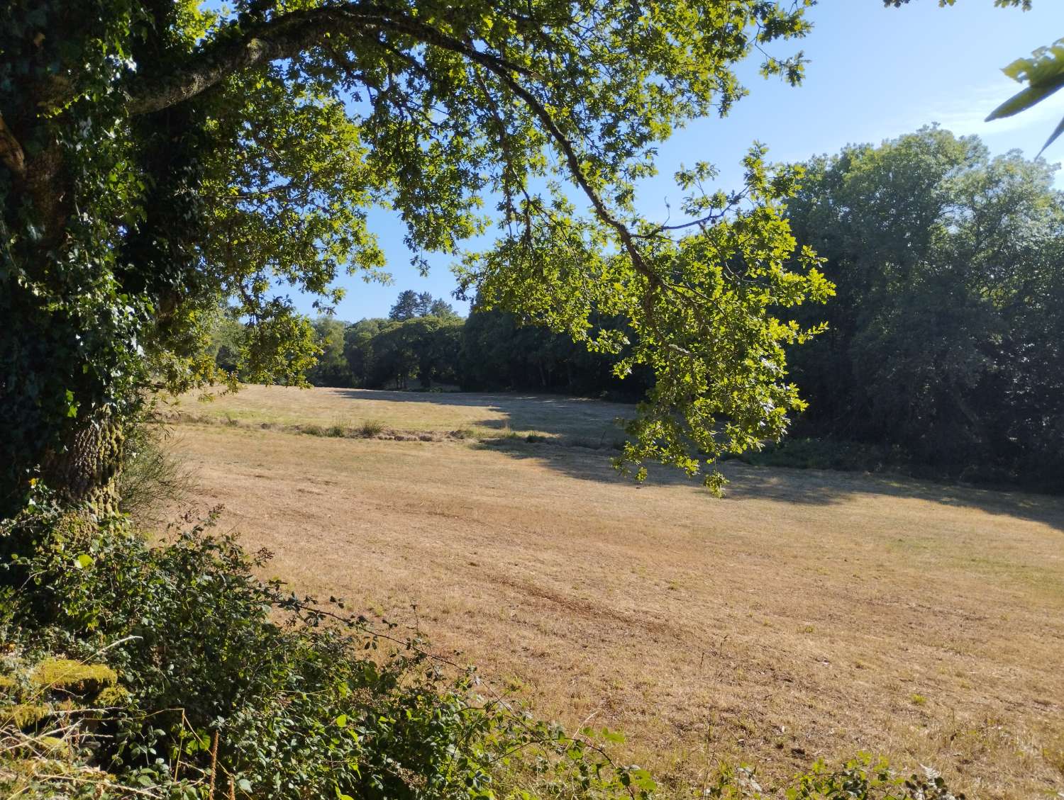 En venta finca rústica en Cal, Begonte (Lugo)