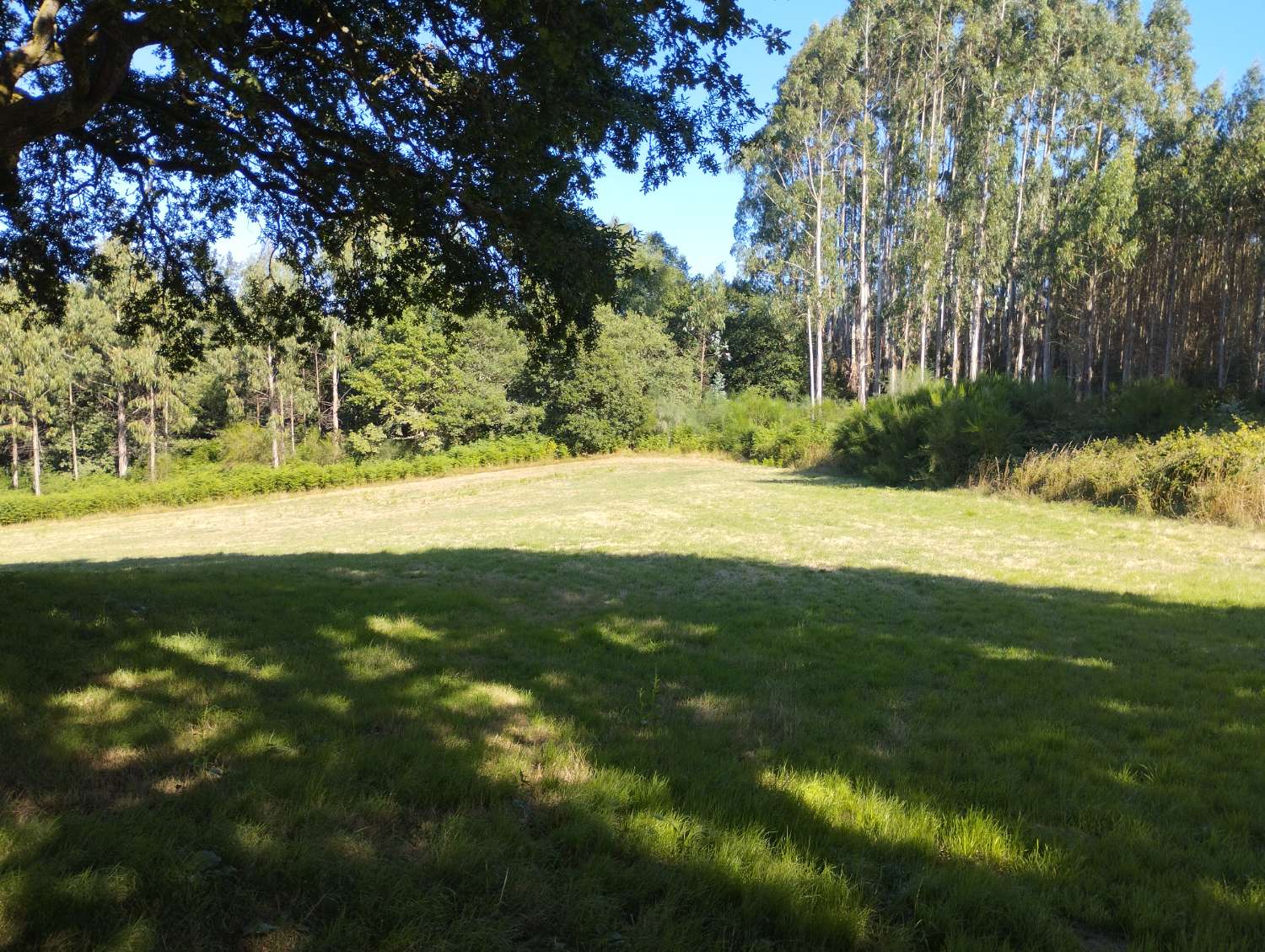 En venta finca rústica en Cal, Begonte (Lugo)