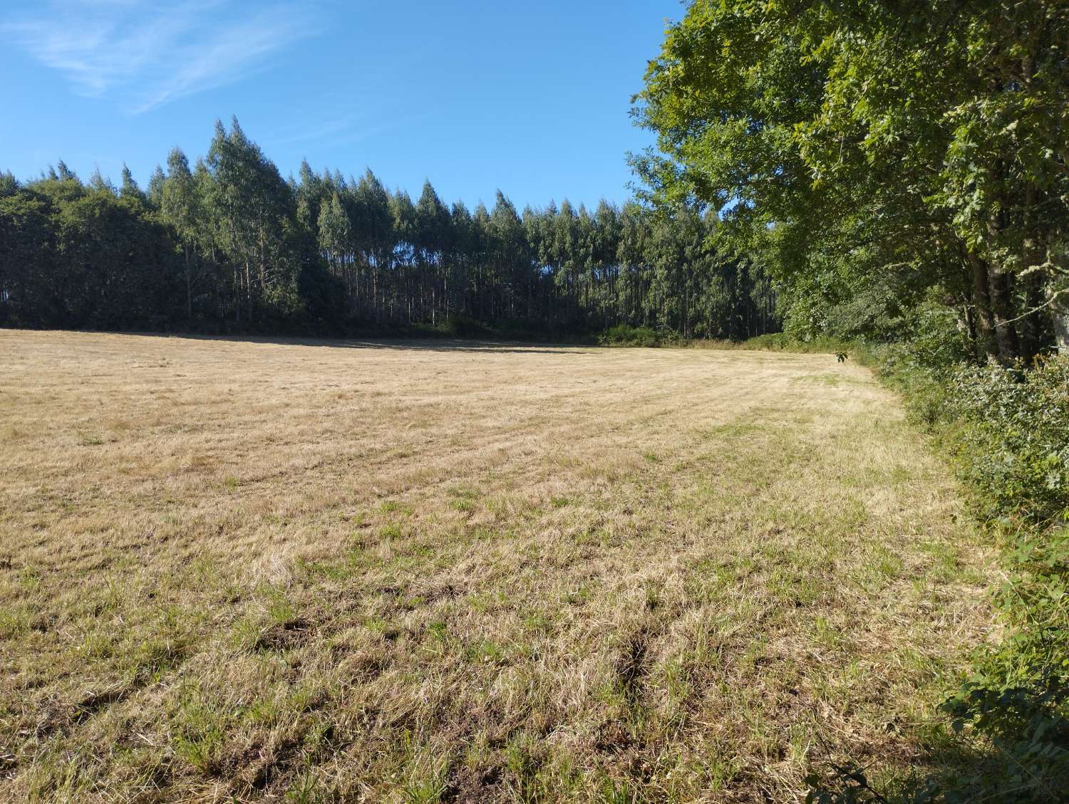 En venta finca rústica en Cal, Begonte (Lugo)