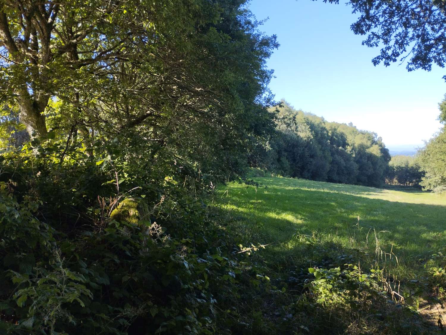 En venta finca rústica en Cal, Begonte (Lugo)