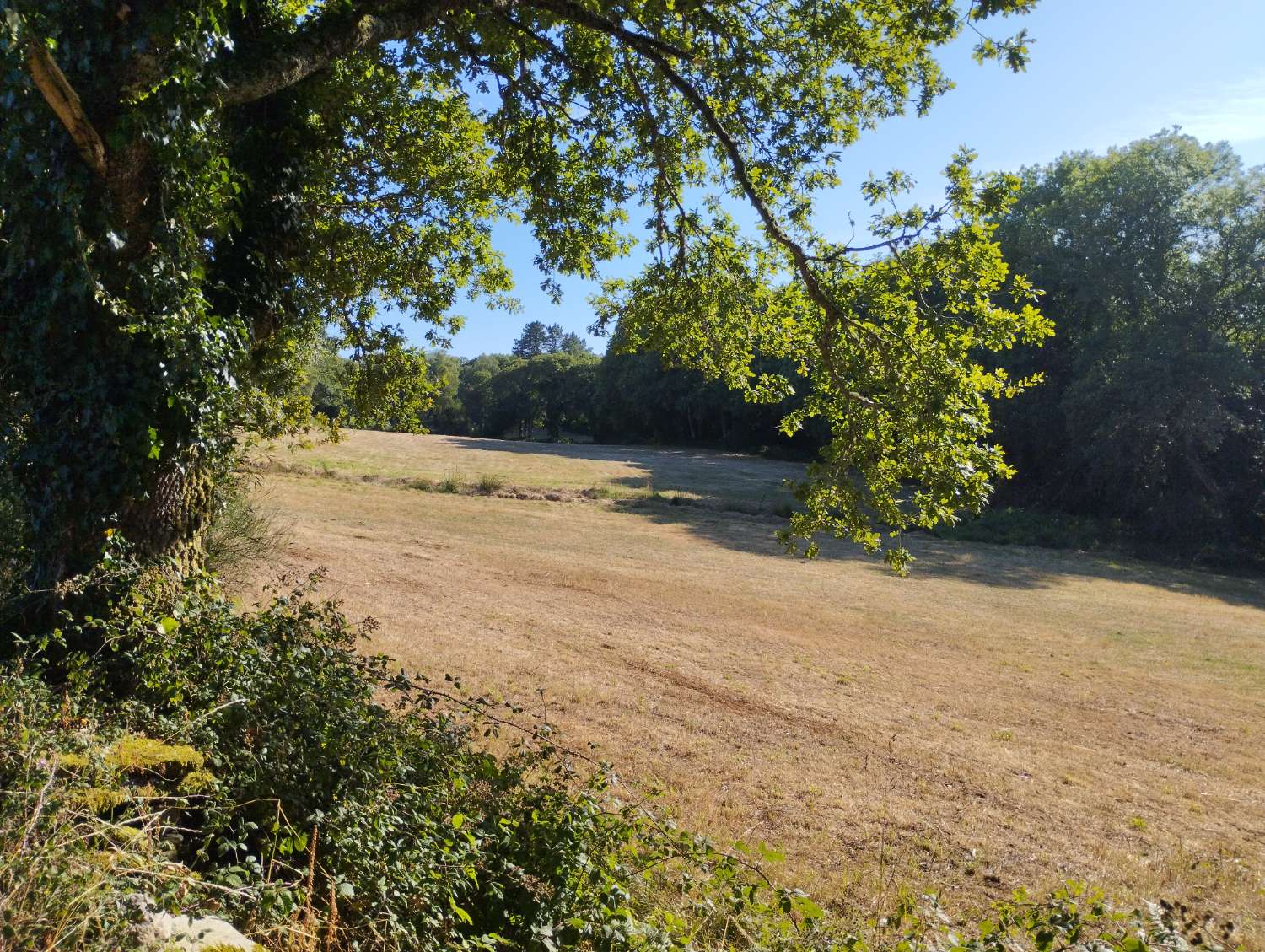 En venta finca rústica en Cal, Begonte (Lugo)