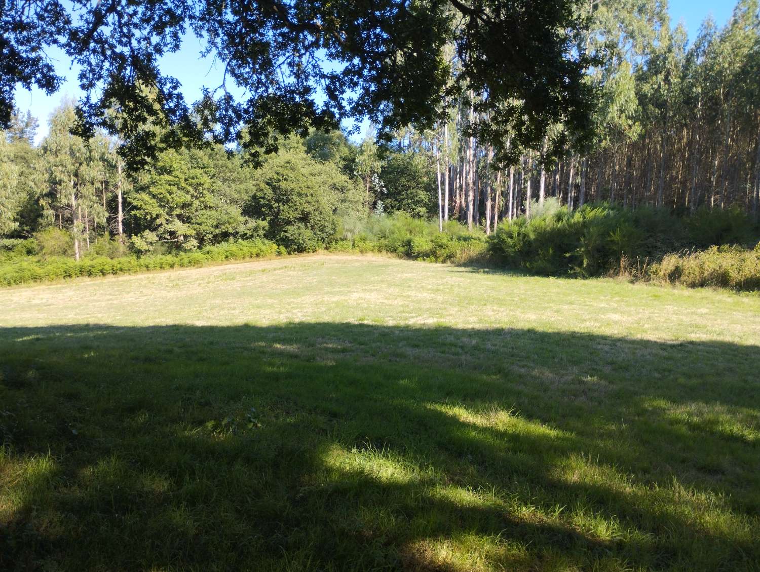 En venta finca rústica en Cal, Begonte (Lugo)