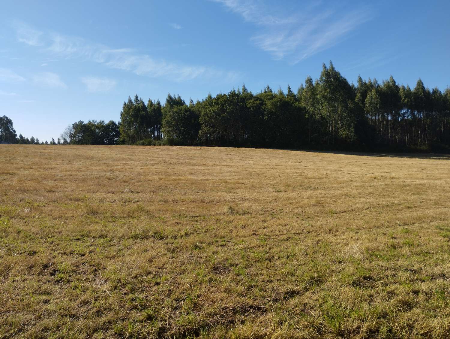 En venta finca rústica en Cal, Begonte (Lugo)