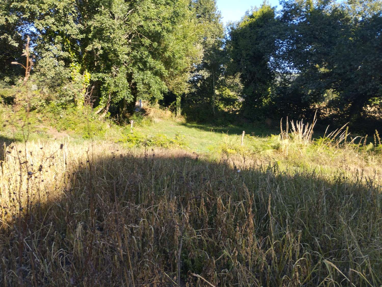 Venta de casa para rehabilitar en LG Toimil-Pena Santalla, Begonte Lugo