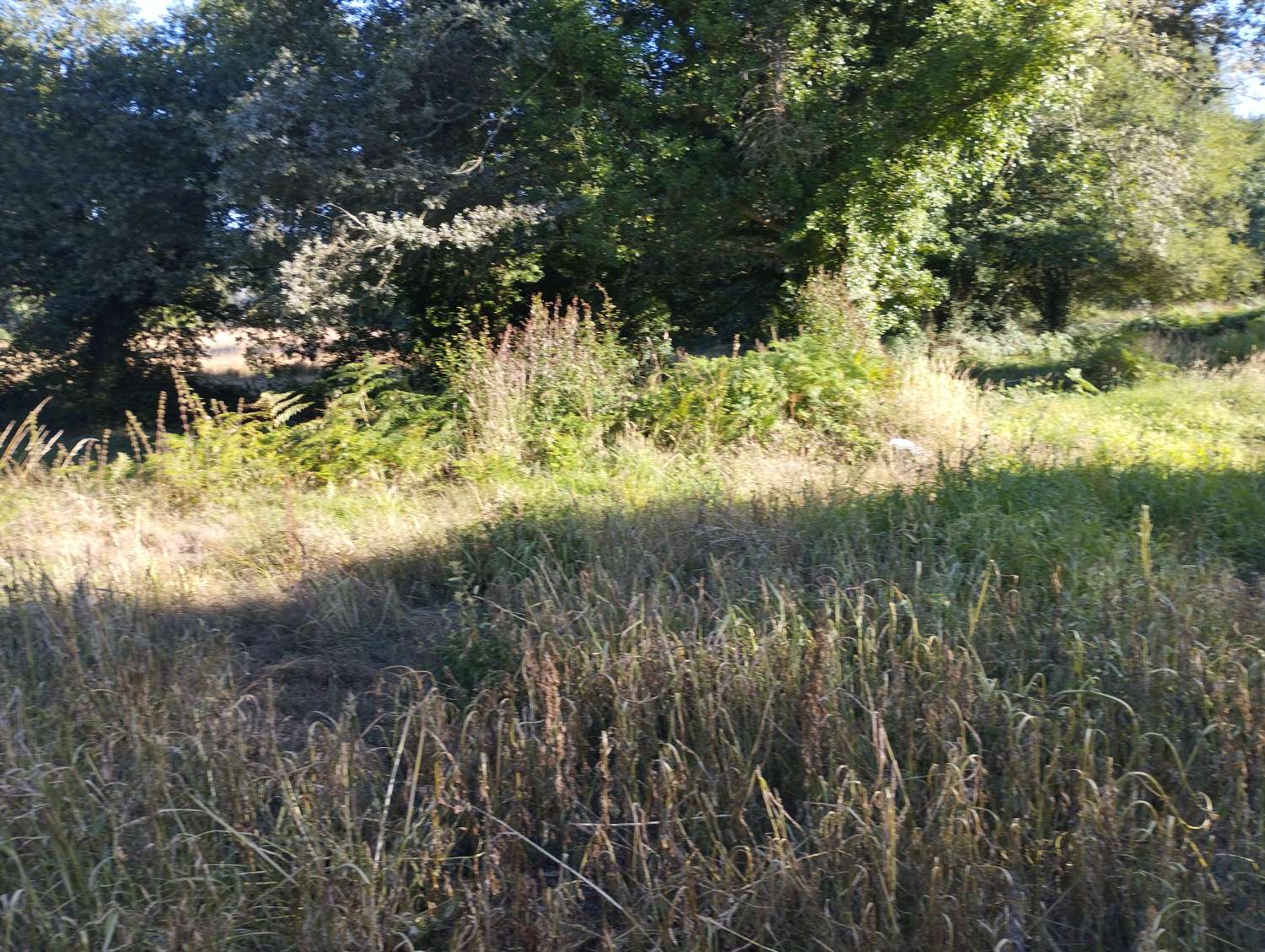 Venta de casa para rehabilitar en LG Toimil-Pena Santalla, Begonte Lugo