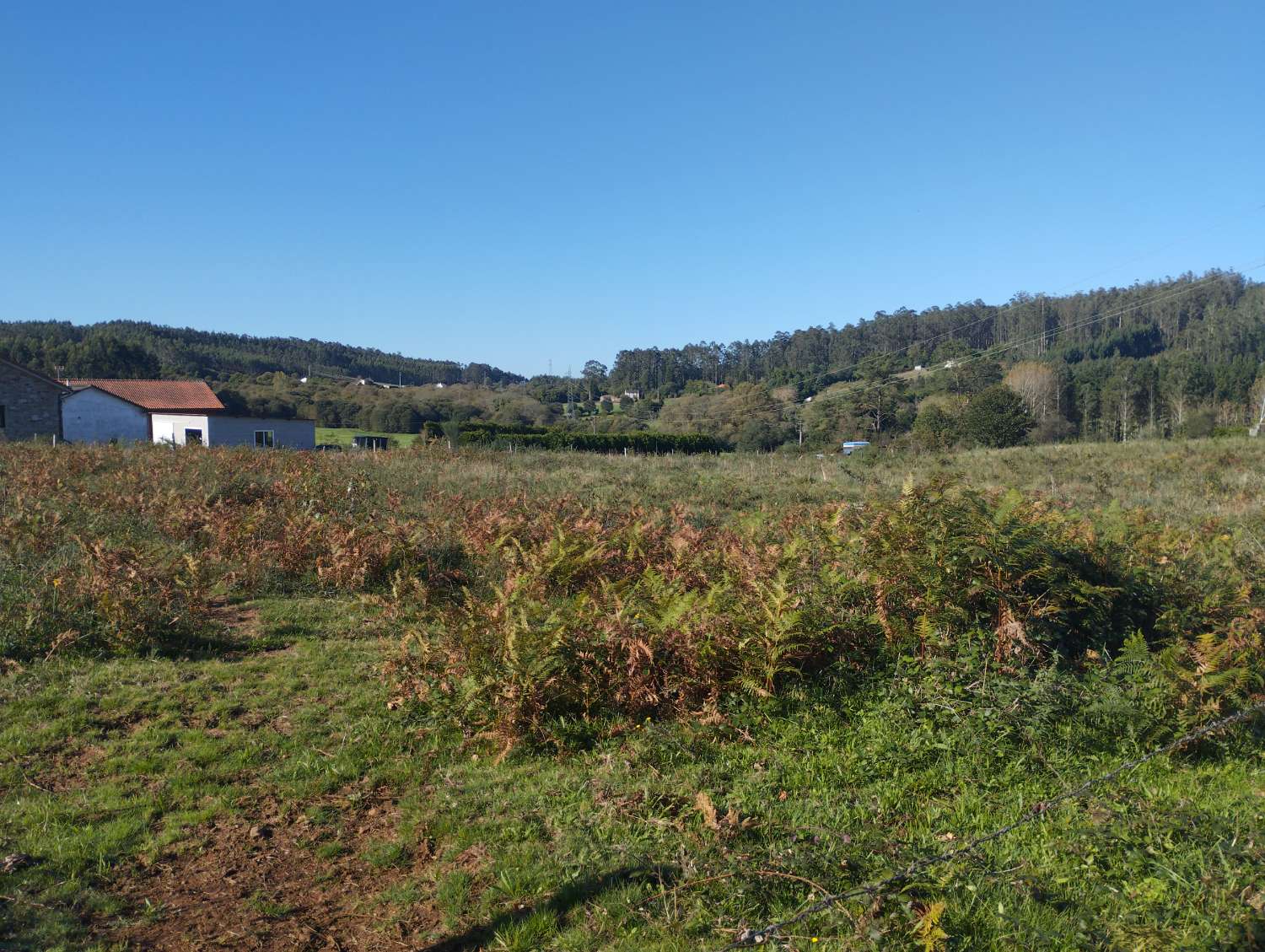Parzelle zum verkauf in San Sadurniño
