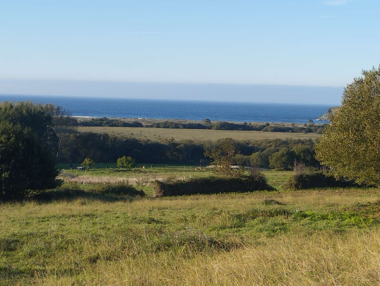 Parcelle en vente à Valdoviño