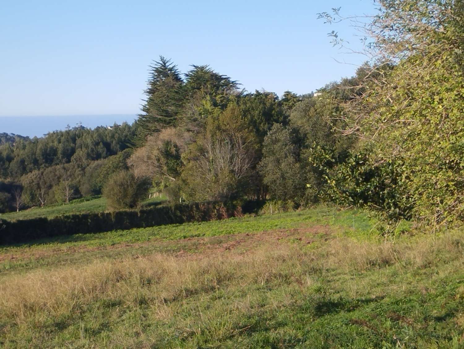 Parcelle en vente à Valdoviño