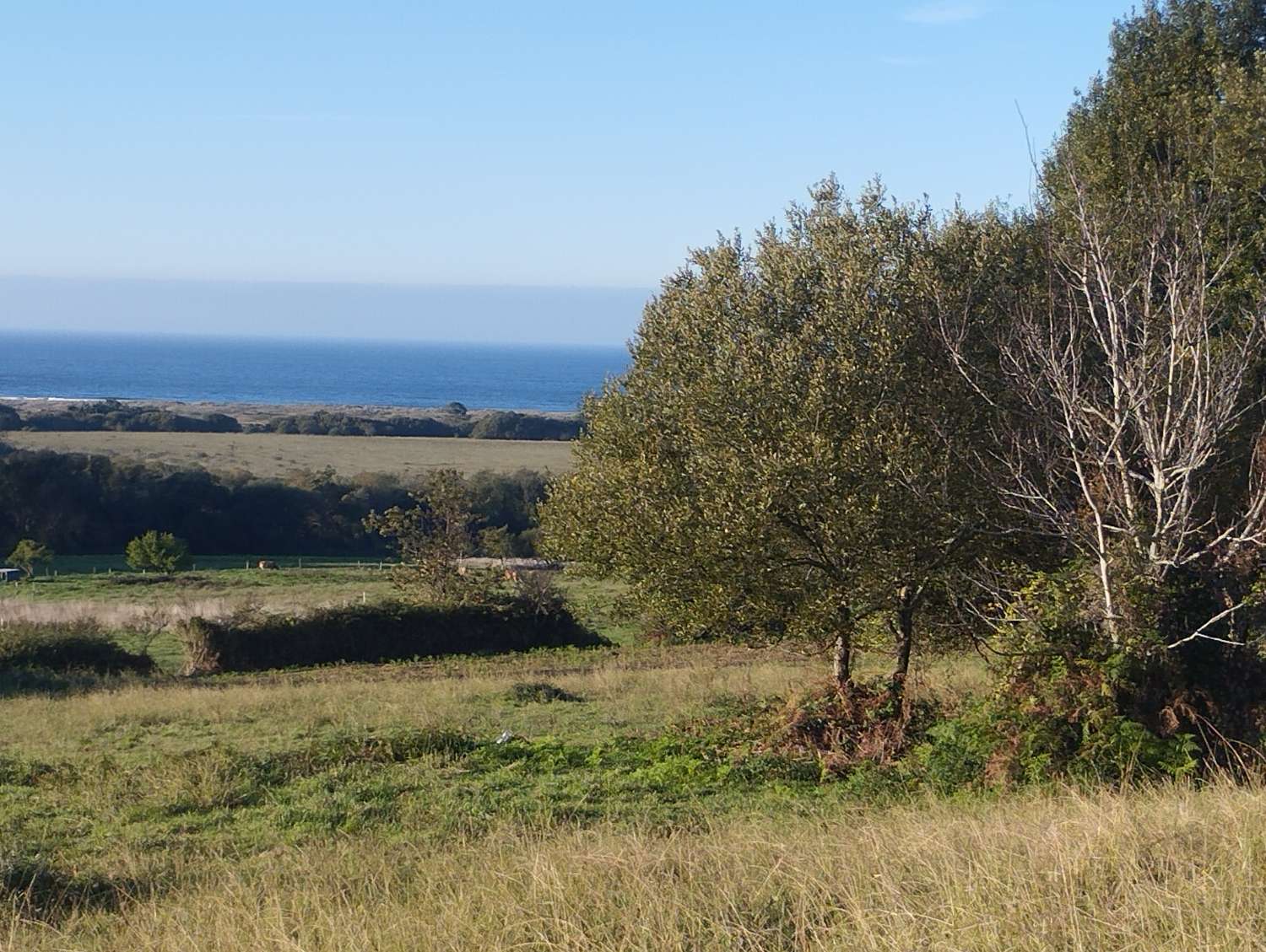 Parcelle en vente à Valdoviño