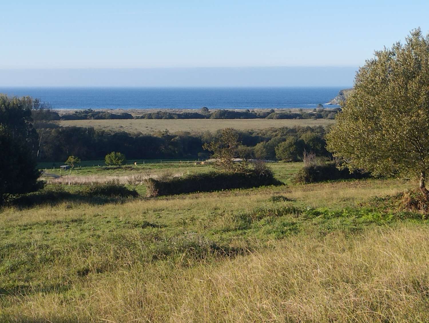 Parcelle en vente à Valdoviño